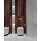 Глазурованный керамогранит Arcadia Ceramica Onyx White Cloud 60x120 см 1.44 м² глянцевый цвет светло-серый