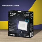 Прожектор светодиодный Ritter Profi 53424 6 100 Вт 10000 Лм 180-240 В с датчиком движения холодный свет 6500К IP65 черный