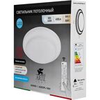 Светильник потолочный светодиодный Arte Lamp Gianni с пультом управления 20 м² регулируемый белый свет цвет белый