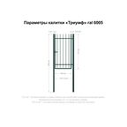 Калитка Триумф 1.0x1.75 м цвет зелёный