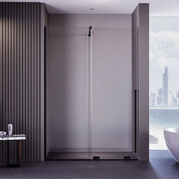 Душевая дверь Veconi Premium Trento 140x200 PTDW-50B-140-01-C4 стекло прозрачное, профиль черный матовый