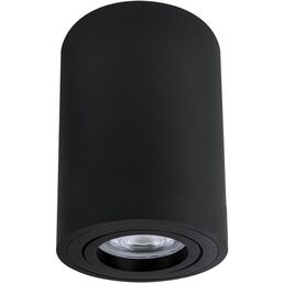 Накладной потолочный светильник Arte Lamp Sentry A1566PL-1BK