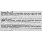 Ирис Geolia сибирский Харпсвелл Хэппинесс