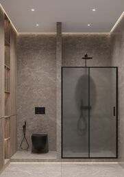 Душевая дверь Timo 120x195 T02 стекло матовое, профиль черный