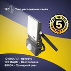 Прожектор светодиодный Ritter Profi 53424 6 100 Вт 10000 Лм 180-240 В с датчиком движения холодный свет 6500К IP65 черный