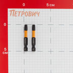 Бита Rage by Vira (554150) TORX T30 магнитная 50 мм торсионная (2 шт.)