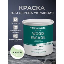 Краска по дереву акриловая для фасадов и внутренних работ PROFIPAINTS SILVER WOOD FACADE 2.7л , RAL-6019