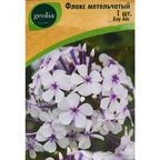 Флокс Geolia метельчатый Блу Айс