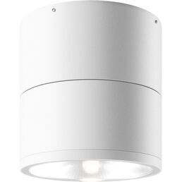 Уличный потолочный светильник IP54 светодиодный Maytoni Spin O310CL-L7W3K