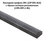 Заглушка торцевая для SM1, черная (LSPA-CAP-SM1-BL)