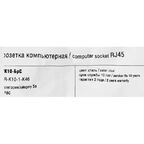Компьютерная розетка встраиваемая IEK Brite РК10-БрС RJ45 UTP cat 5e цвет сталь