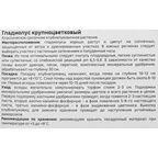 Гладиолус крупноцветковый Аякс Geolia 3 шт