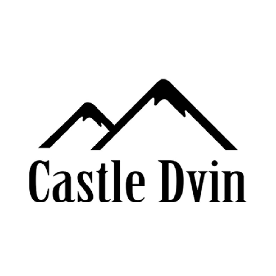 /  Castle Dvin