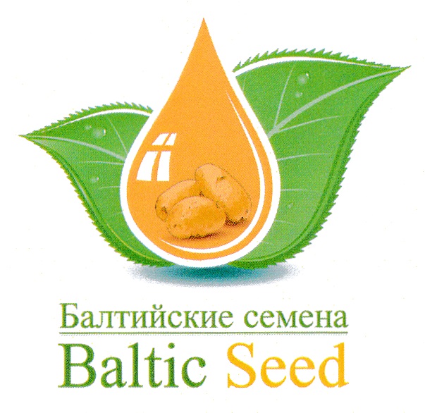 baytrufickne cemena  Baltic