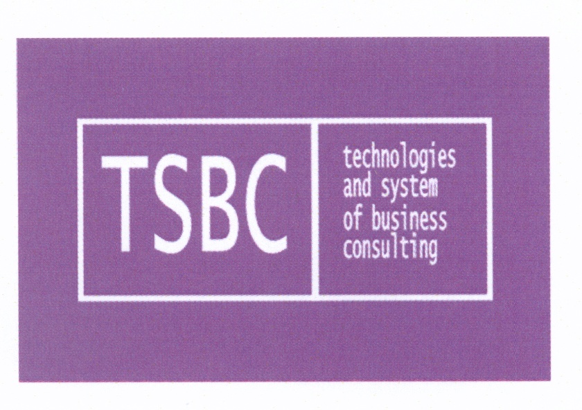 technologies and system  of business consulting