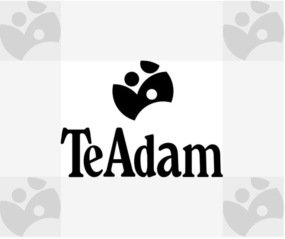 TeAdam