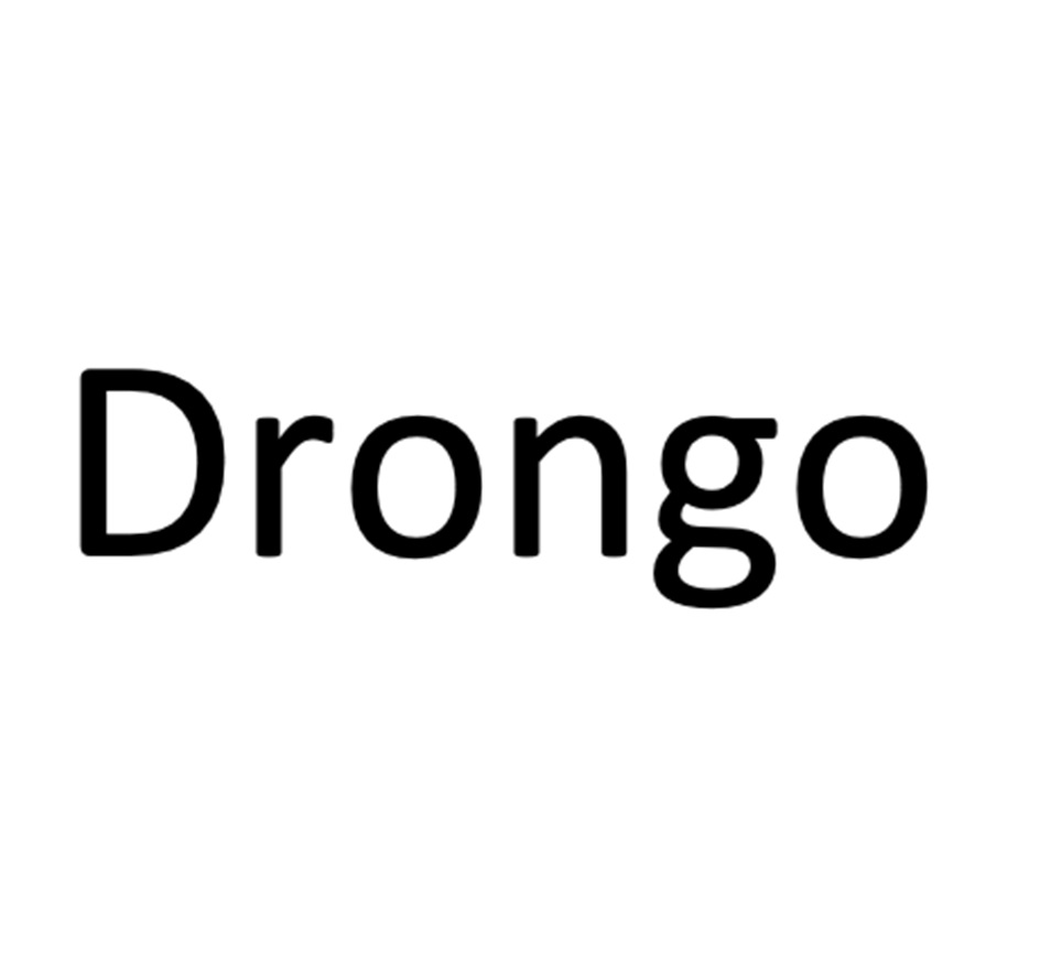 Drongo