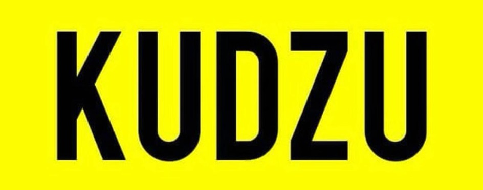 KUDZU
