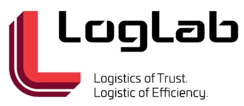 tagLab  Logistic of Efficiency.