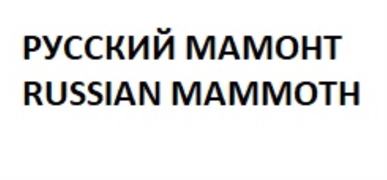 PYCCKMH MAMOHT RUSSIAN MAMMOTH