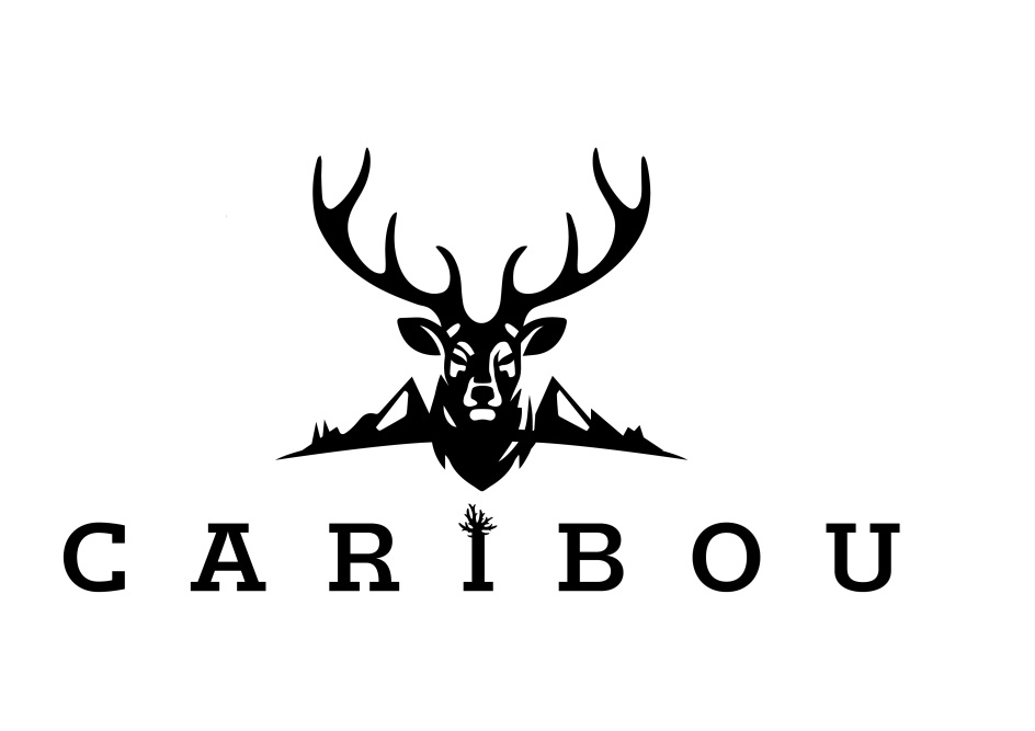 C А В I B 0 U
