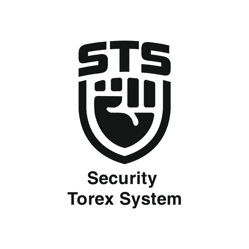 STS  25  Security Torex System