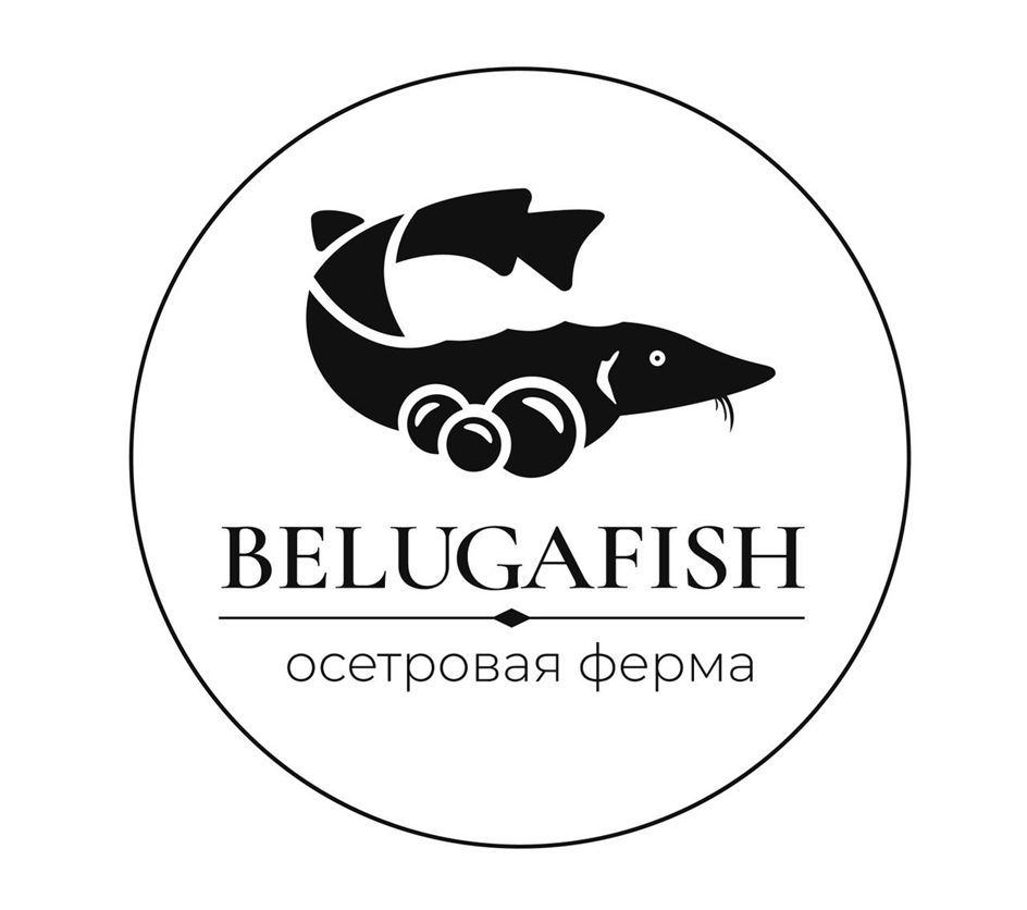 BELUGAFISH  осетровая ферма