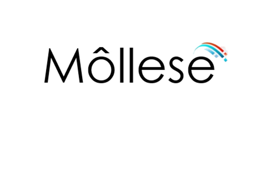 Modllese
