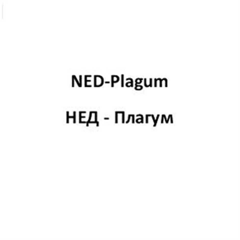 NEDPlagum HEA  Anarym