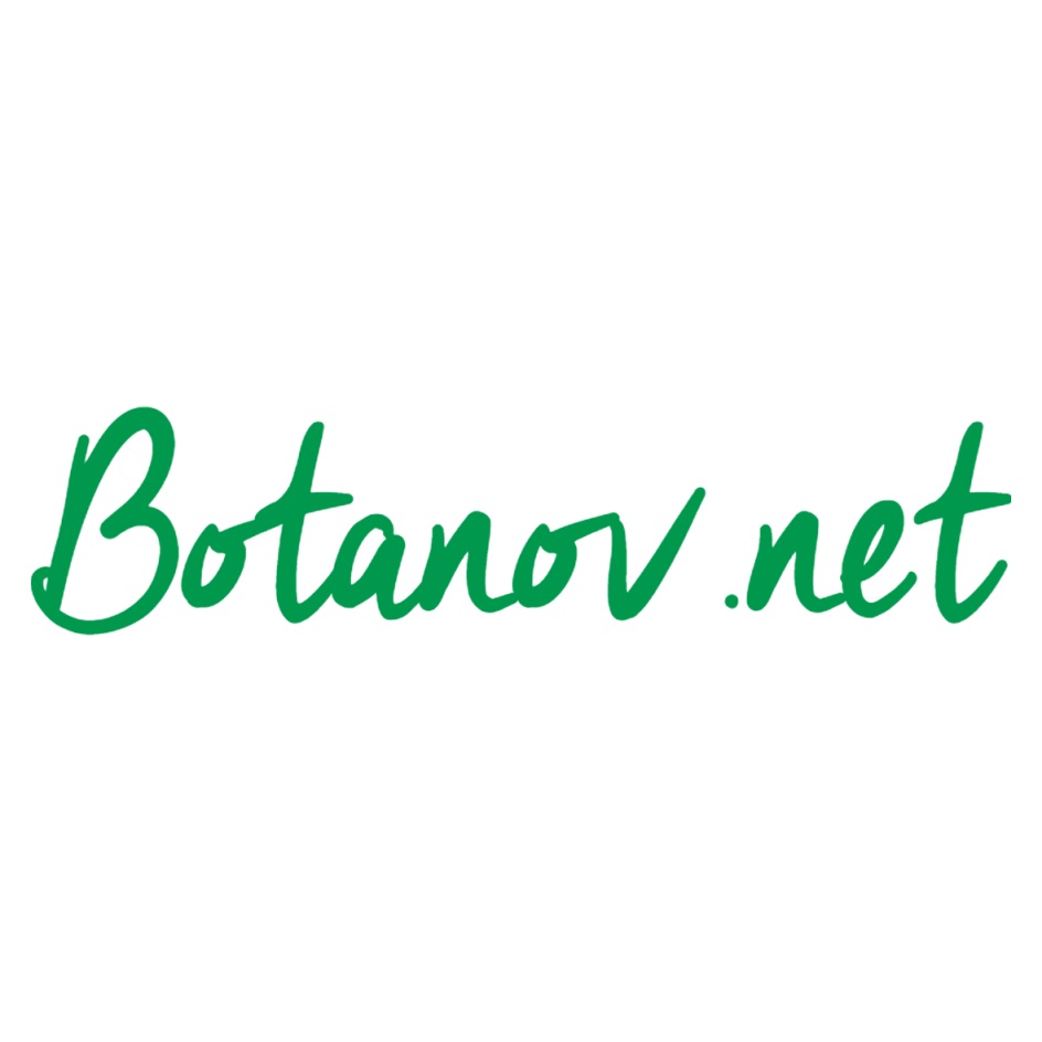 Petansy net