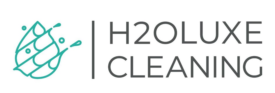 H20OLUXE CLEANING  : 2 62