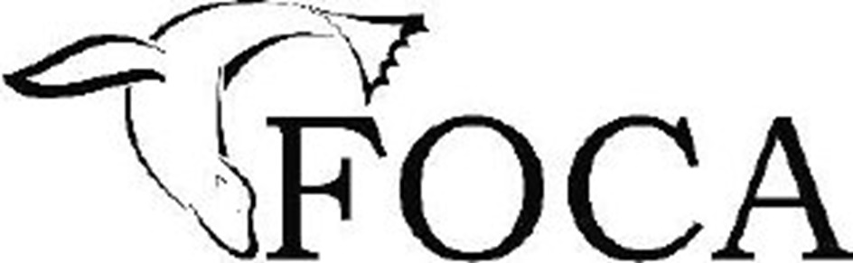жж у SFOCA  ie
