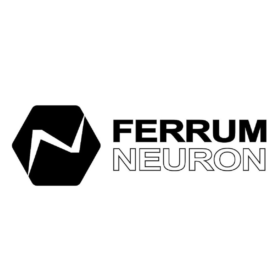P FERRUM H NEURON