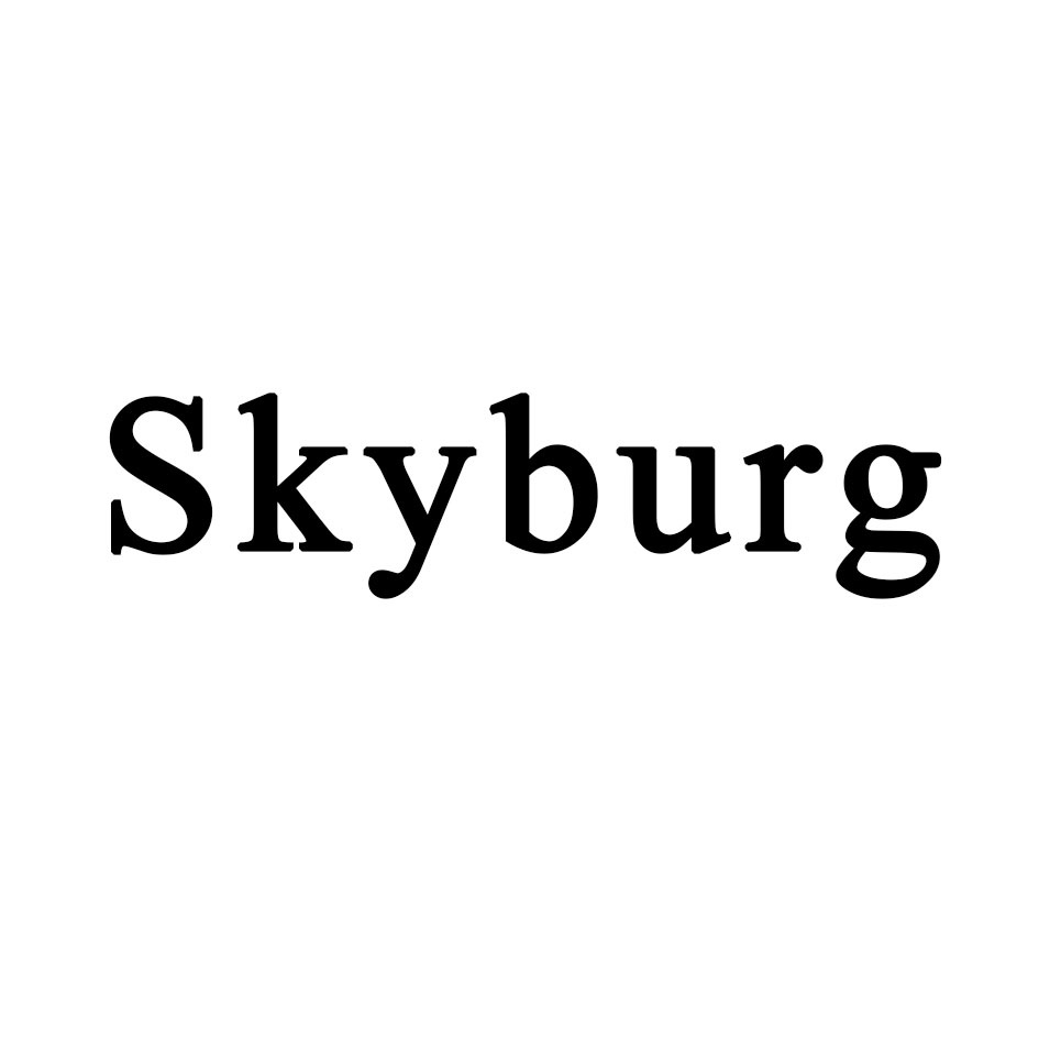 Skyburg