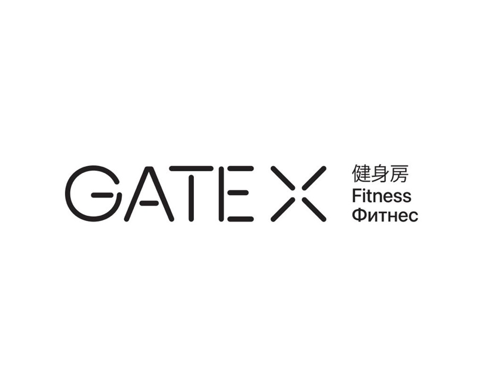 GATE X i