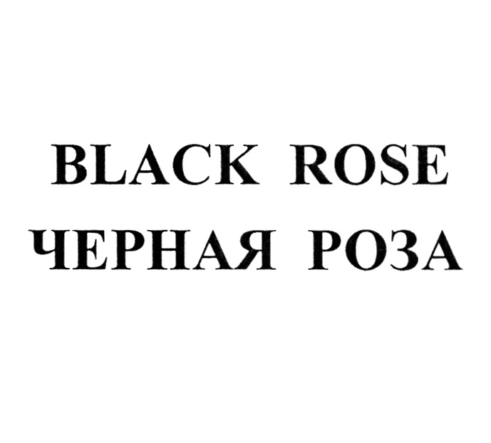 BLACK ROSE ЧЕРНАЯ РОЗА