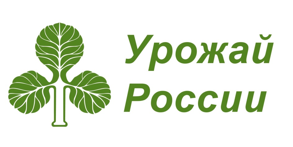82 Ypo  P au llics Pocc: , 2 uU