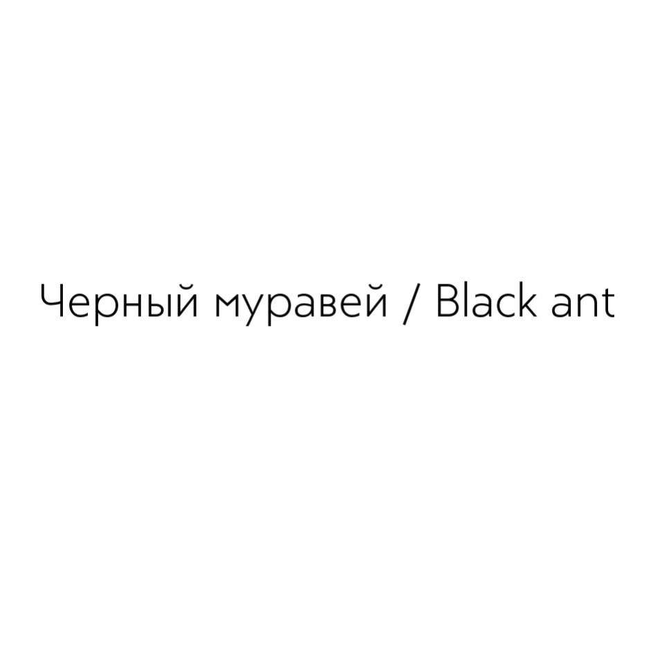YepHeim mypasen / Black ant
