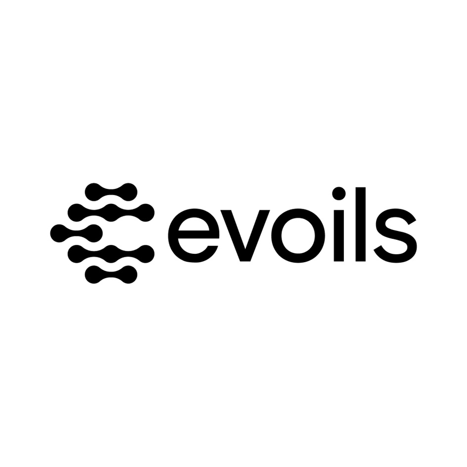 evoils  00 дь дь в Ф рь мы в 0