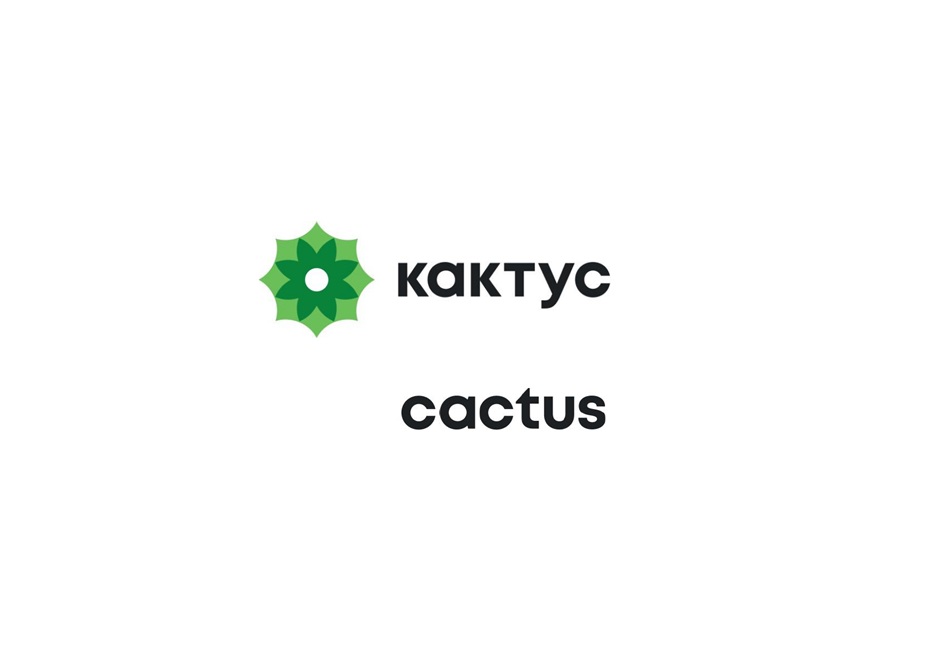 a кактус  cactus