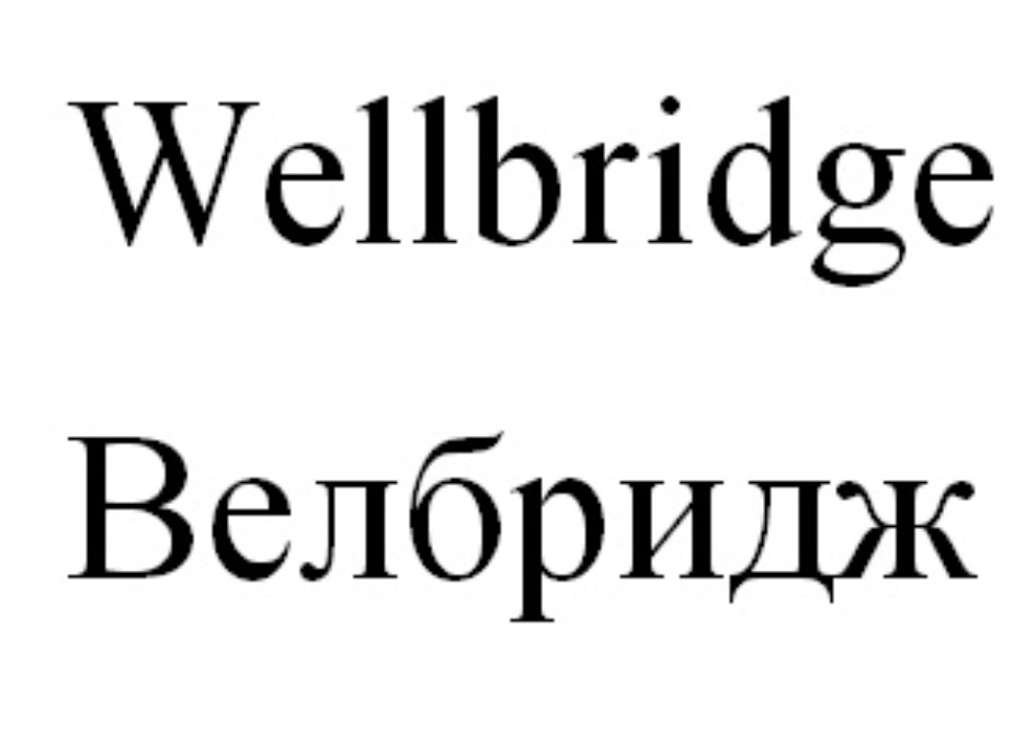 Wellbridge Велоридж